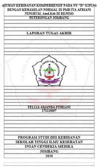 Asuhan Kebidanan Komperhensif Pada Ny “D” G2p1a0 Dengan Kehamilan Normal Di Pmb Ita Afriani Ningrum, Amd.Keb Di Rejoso 
Peterongan Jombang